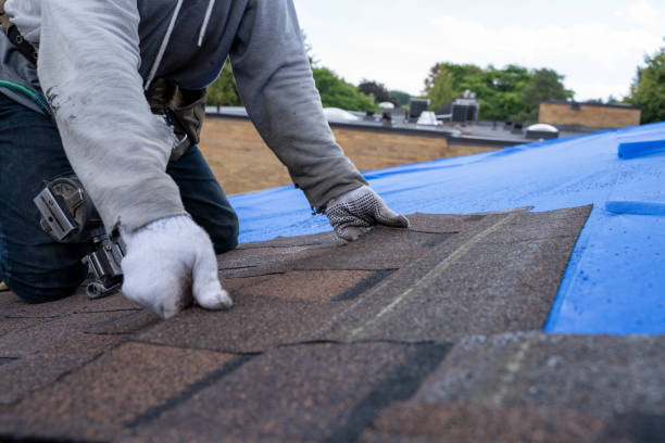 Best Roof Repair Services  in Merrill, WI