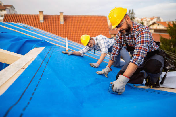 Best Roof Gutter Cleaning  in Merrill, WI