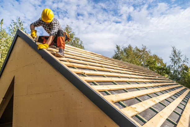 Best Roof Gutter Cleaning  in Merrill, WI