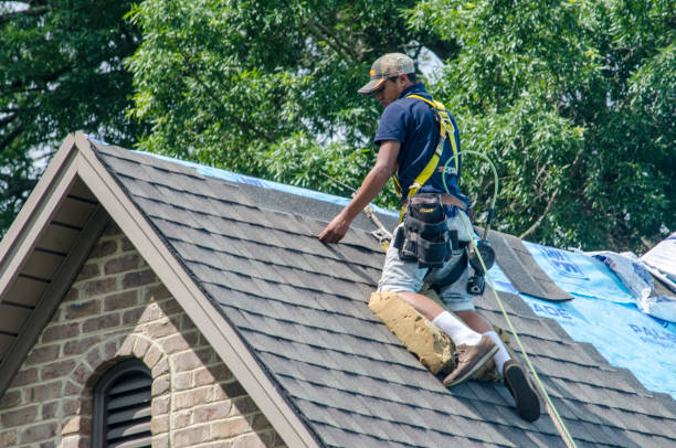 Best Gutter Installation and Roofing  in Merrill, WI